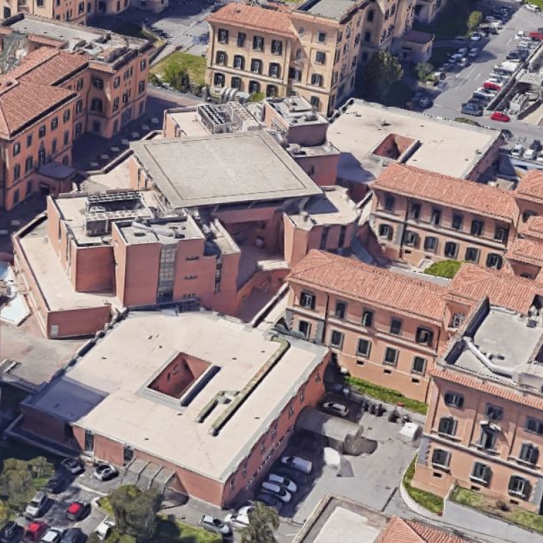 AZIENDA OSPEDALIERA SAN CAMILLO FORLANINI 8