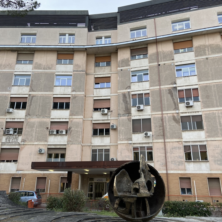 AZIENDA OSPEDALIERA SAN CAMILLO FORLANINI 9