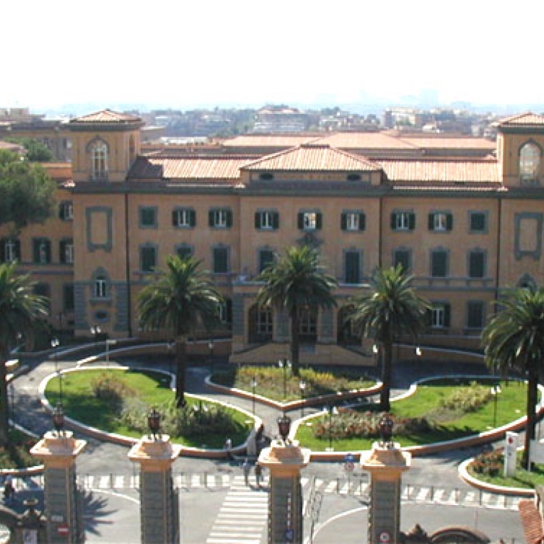 AZIENDA OSPEDALIERA SAN CAMILLO FORLANINI