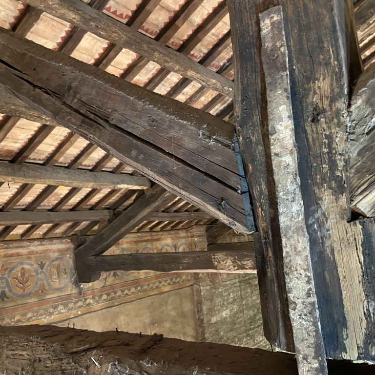 Chiesa di San Pietro Apostolo - Indagini sulla struttura di copertura in legno 7